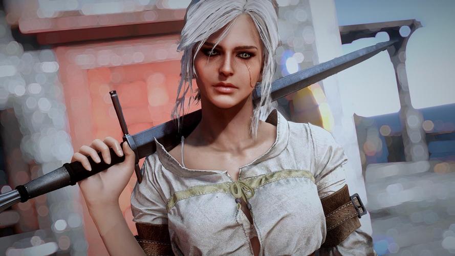 母上攻略4重制版安卓汉化版最新资源获取