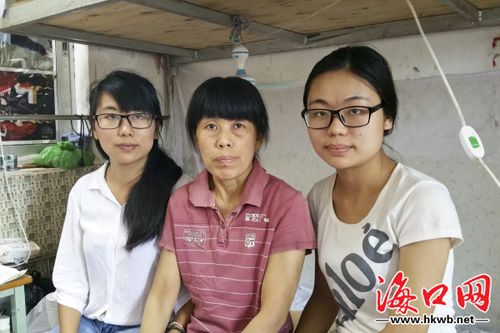 母三人官方网站用户评价与使用体验汇总