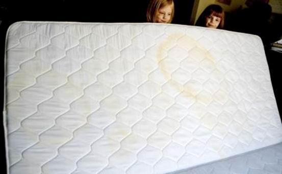 罗马的奴隶更新地址失效了试试这个新方法