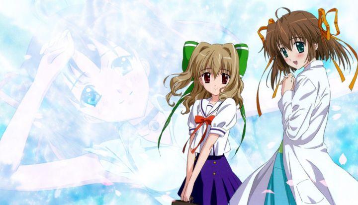 欢迎来到后宫岛官方正式版下载最新版