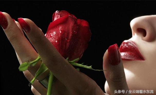 安娜激动人心的感情完整版下载地址分享