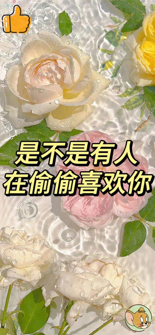 想知道最后的希望最新版本是多少 这里有答案