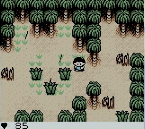 抓到冒险者酱游戏全关卡攻略 隐藏道具收集指南