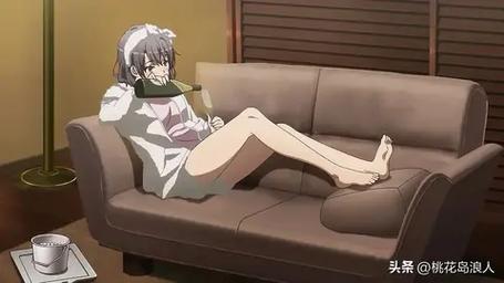 欢迎来到后宫岛最新版本常见问题解答