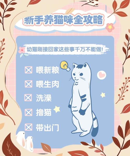 脆弱的女性游戏下载教程 新手必看简单三步搞定