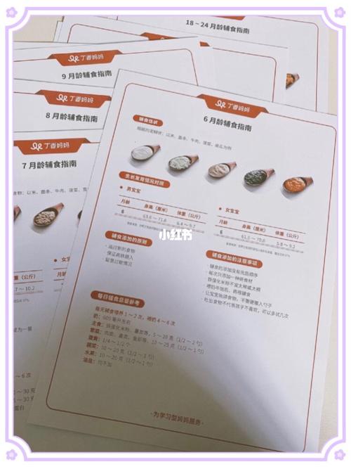 解开八月游戏攻略新手必看的通关技巧