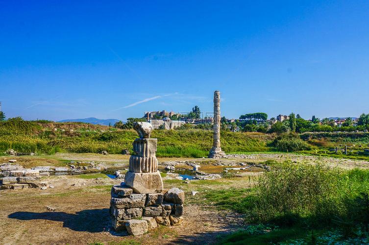 阿尔忒弥斯帕鲁下载地址怎么找 这个方法最简单