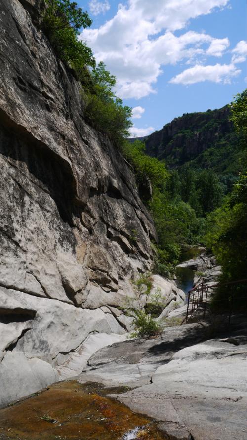 精灵谷最新门票价格 省钱攻略大公开