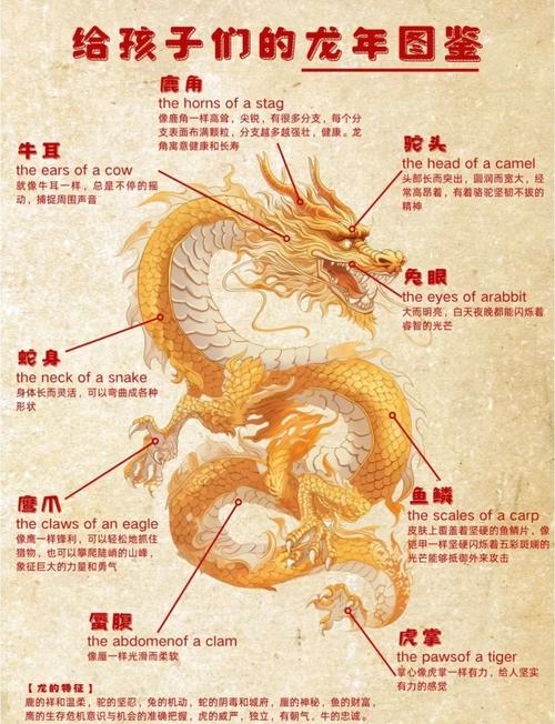 龙的征服版本大全详细介绍与玩法解析