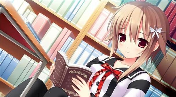 我与女仆的不道德学校生活游戏下载常见问题