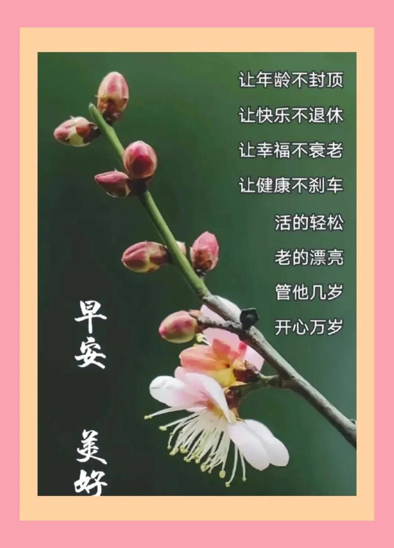 新生活计划官网带你轻松实现生活目标