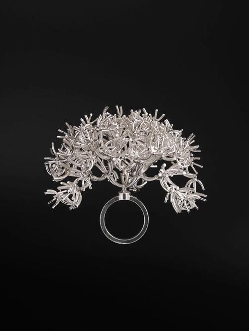 欲望之戒版本大全 了解每一款戒指的特点