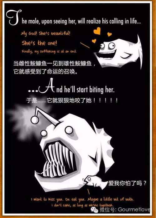 雌性命运召唤游戏攻略全关卡通关秘籍分享