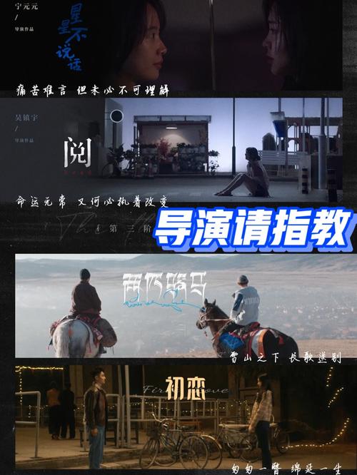 导演请拍摄各种各样的我汉化版更新内容大揭秘