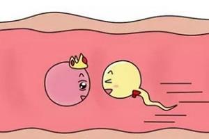 掌握催眠让全体女生在不知情下怀孕最新版本使用教程详解