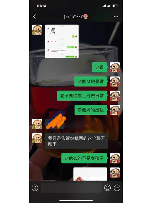 母上攻略旧版合集下载地址分享 完整资源一键获取