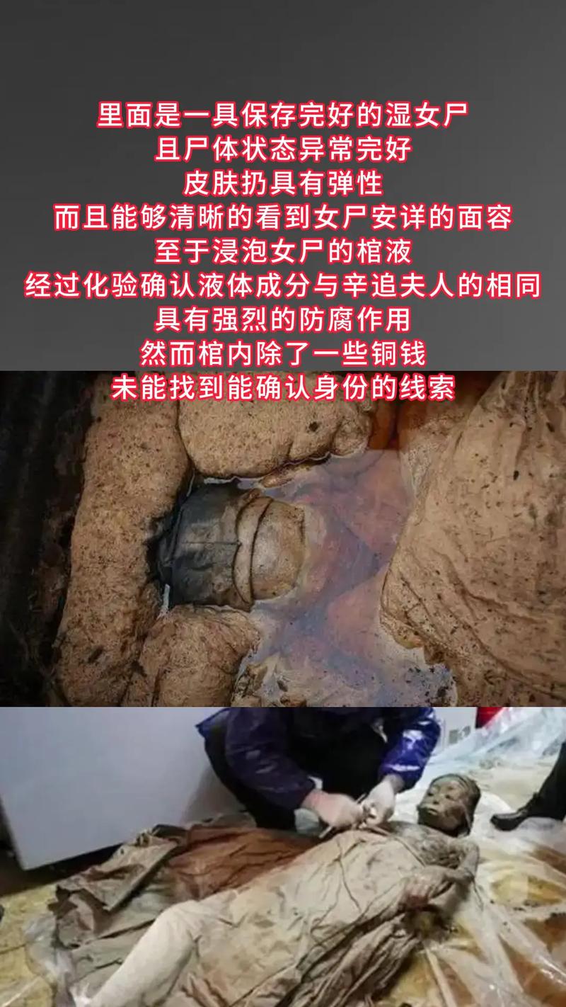 屍最新事件追踪 细节曝光引热议