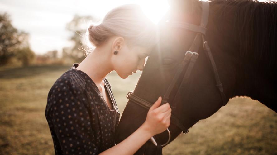 米莉斯的沉沦电脑版下载 高清画质流畅体验