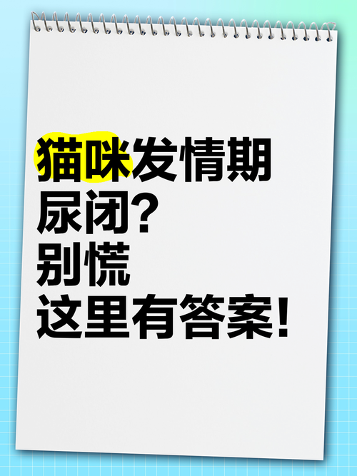 想知道SiliconLust最新版本是多少 这里有答案