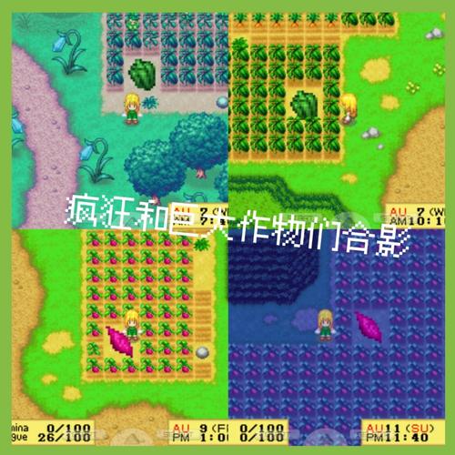 精灵的性爱农场版本大全常见问题解答