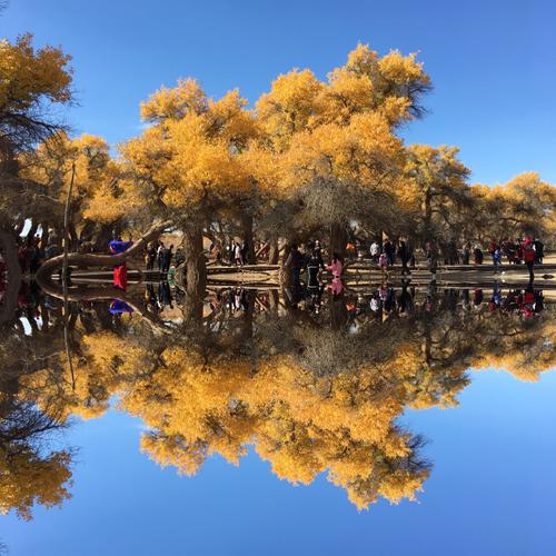 谜月旅途最新版本玩家评测真实体验优缺点分析