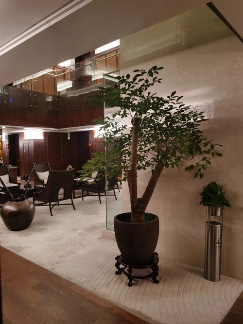 水疗中心版本大全