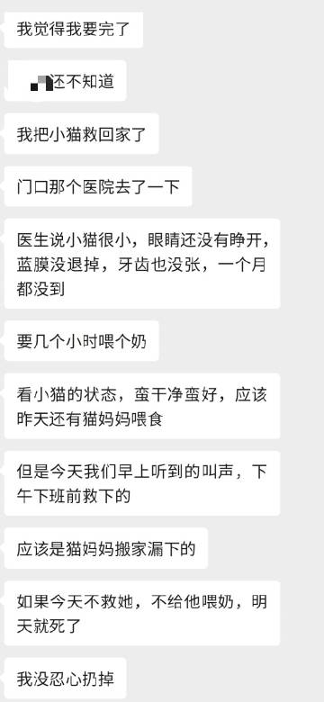 母上攻略3重制版在哪能下载 完整安装教程