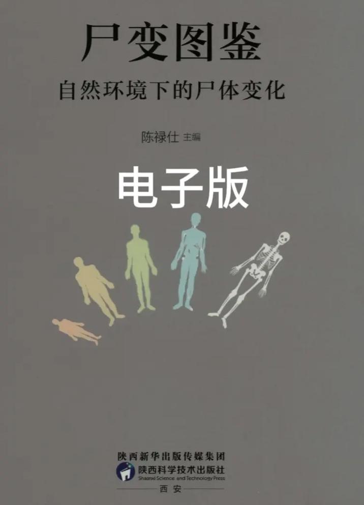屍官方正式版下载最新版 完整资源一键安装教程