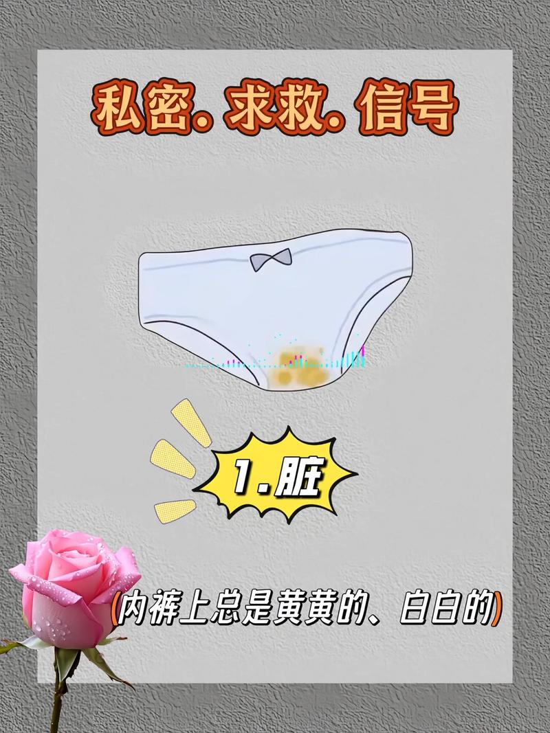 脆弱的女性安卓下载这些工具保护隐私