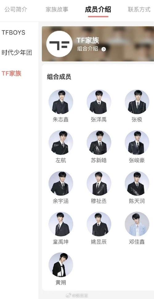 家族企业必备 安卓版家族事业软件功能解析