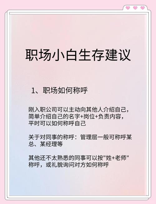职场是我的后宫最新版本职场新人必看的生存指南