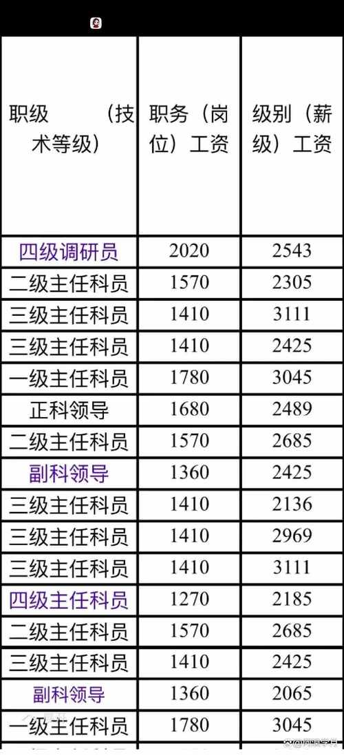 身体薪酬官网登录指南 快速查询个人薪酬明细