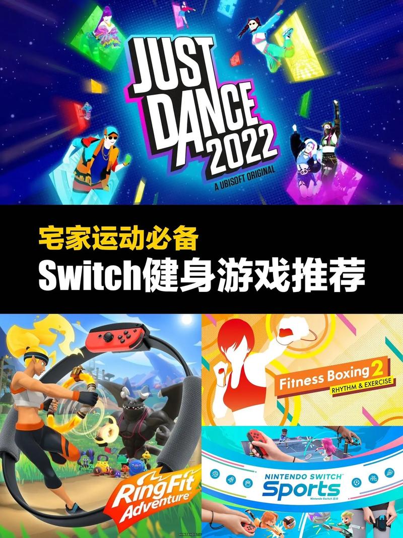 身体薪酬游戏介绍 为什么越来越多人喜欢这款健身游戏