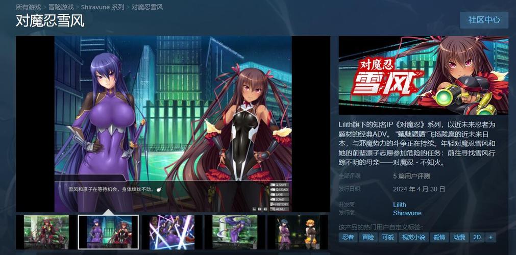 想玩对魔忍雪风汉化版 下载地址在这里快收藏