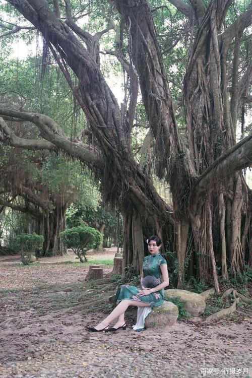 爱相思版本大全 不同风格演绎总有一款你喜欢