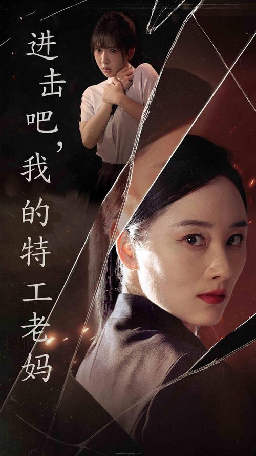 导演请拍摄各种各样的我下载问题解决大全