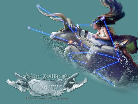 维纳斯俱乐部V2.5.3汉化版新版本发布 更新内容全知道