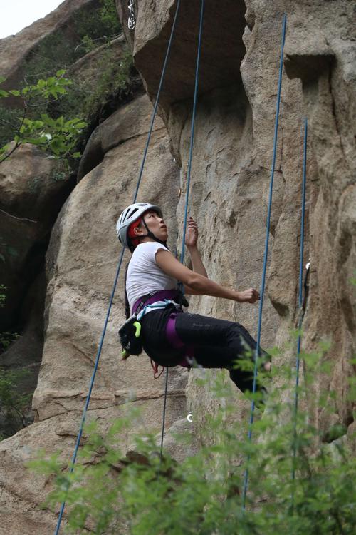 精灵谷安卓手机配置要求 看看你的设备能玩吗
