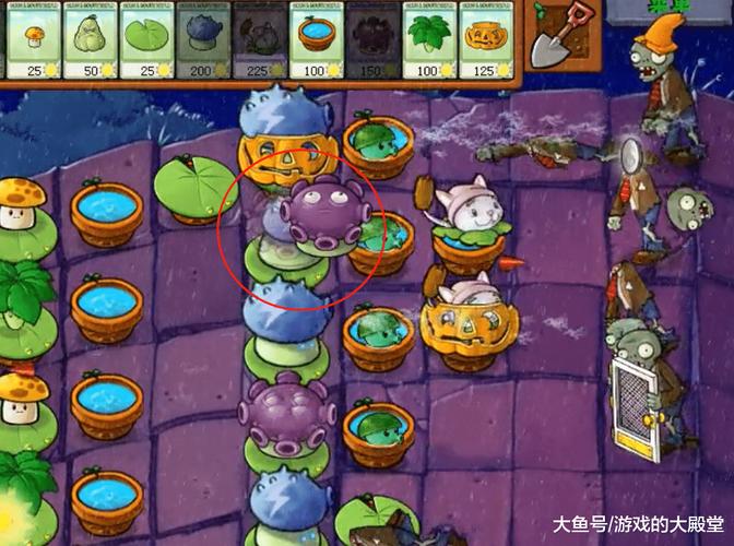 维罗达修女游戏攻略隐藏任务解锁方法大全