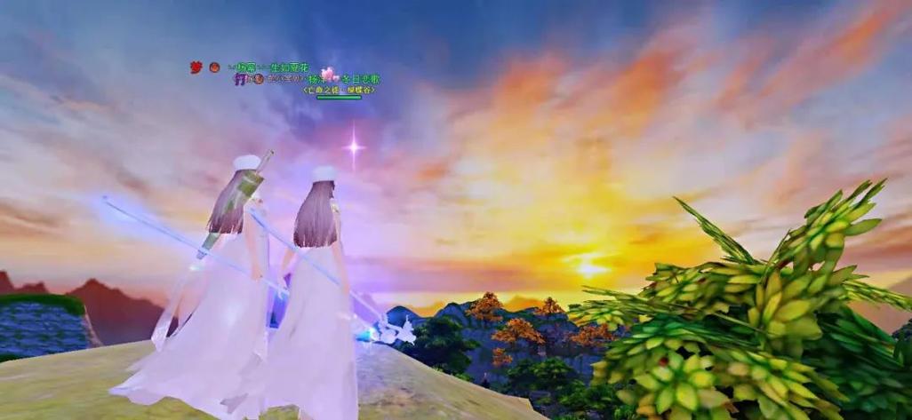 志愿少女最新行程安排 看看她们接下来忙什么