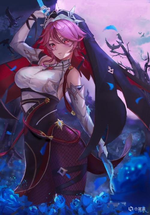 维罗达修女版本大全 详细解析各版本区别