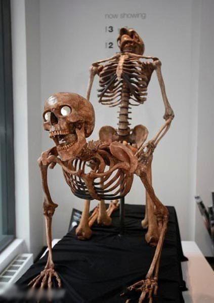 雪山别墅和三个女孩的做爱假期下载地址