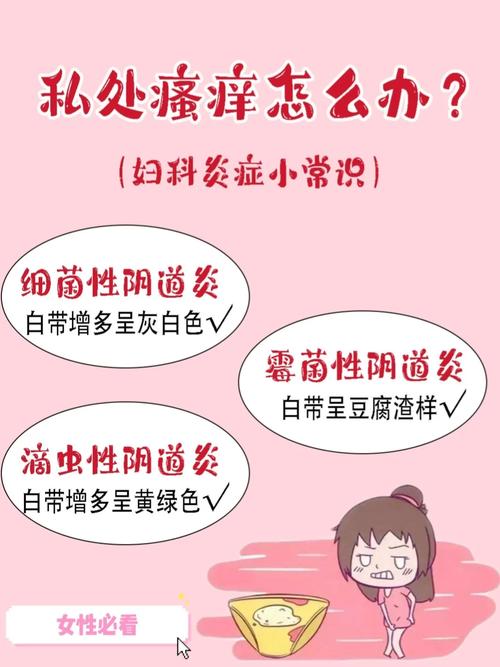 脆弱的女性安卓下载这些工具保护隐私