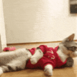 雪山别墅和三个女孩的做爱假期汉化版最新更新内容