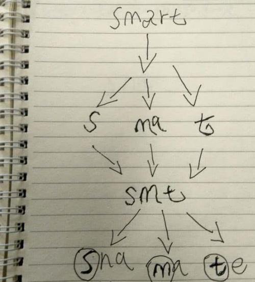 族长最新发展规划带你了解家族未来方向