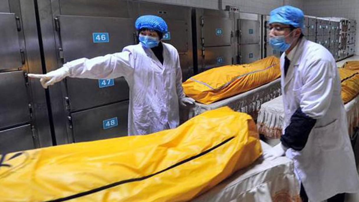 屍更新地址最新发布 快速获取最新访问链接