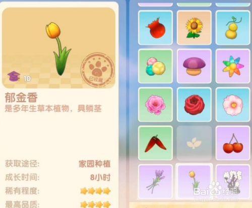 母上攻略1重置版杨过游戏怎么玩新手必看攻略