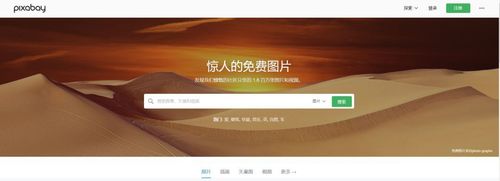 淫魂狩猎下载地址推荐 中文版免费获取方法