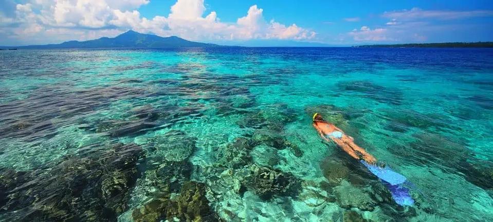 海岛女精灵官方网站新手入门指南与快速升级技巧