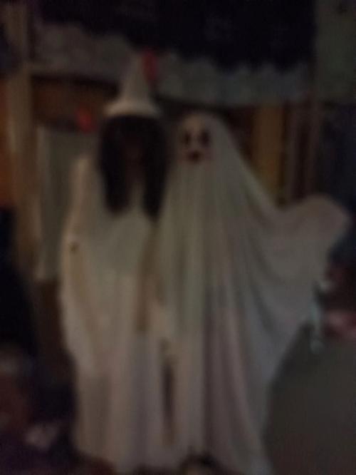 屋内有鬼更新地址怎么找一键获取最新网址